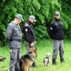 Biesiada u króla Jana